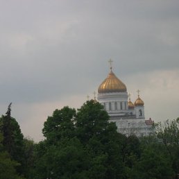 Костян, Березник